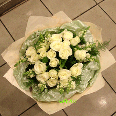 【B-065】白玫瑰花束,浪漫情人花束,祝福生日花束:玫瑰花束-白色迷情