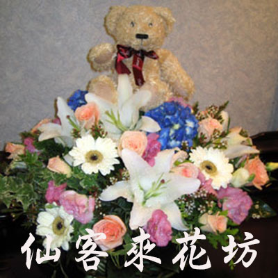 【G-010】花店精選:盆花-愛戀