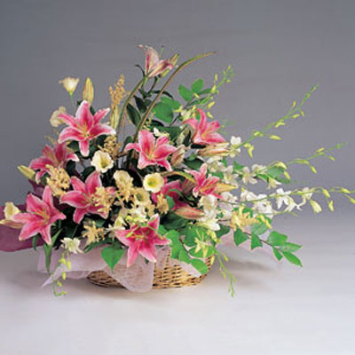 【A-001】桌上盆花 祝賀盆花-香水百合盆花