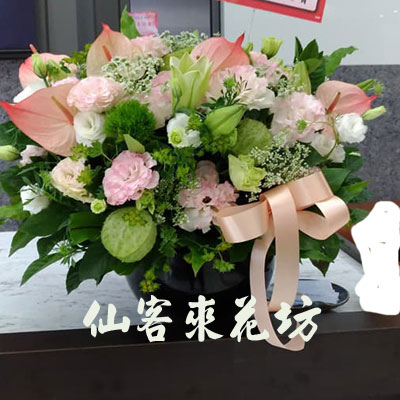 【A-523】世貿展覽盆花,開幕盆花,喜慶盆花,藝術盆花