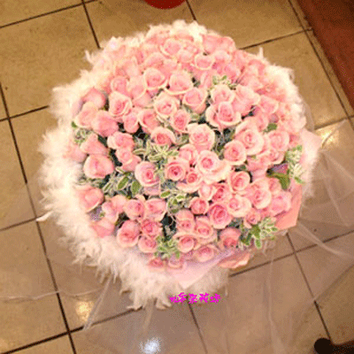 【R-062】玫瑰花束:101朵玫瑰花束,粉紅玫瑰花束-(101)妳是我的唯一